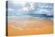 Waves of the Ocean on a Sandy Coast-Givaga-Premier Image Canvas