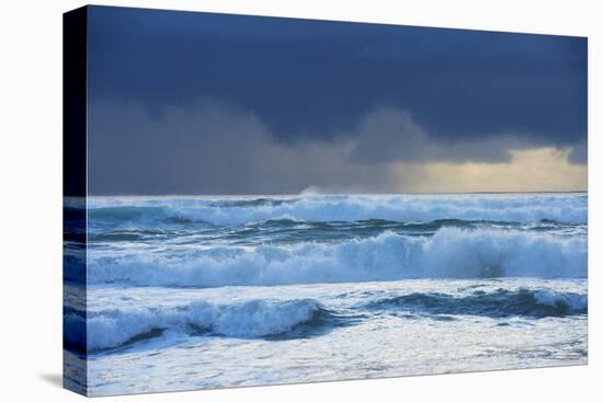 Waves, Paparoa National Park, West Coast, South Island, New Zealand-Marco Simoni-Premier Image Canvas