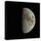 Waxing Gibbous Moon-Eckhard Slawik-Premier Image Canvas