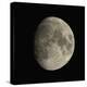 Waxing Gibbous Moon-Eckhard Slawik-Premier Image Canvas