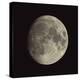 Waxing Gibbous Moon-Eckhard Slawik-Premier Image Canvas