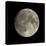 Waxing Gibbous Moon-Eckhard Slawik-Premier Image Canvas