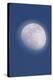 Waxing Gibbous Moon-David Nunuk-Premier Image Canvas