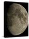 Waxing Gibbous Moon-Eckhard Slawik-Premier Image Canvas