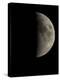 Waxing Half Moon-Eckhard Slawik-Premier Image Canvas