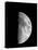 Waxing Half Moon-John Sanford-Premier Image Canvas