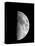 Waxing Half Moon-John Sanford-Premier Image Canvas