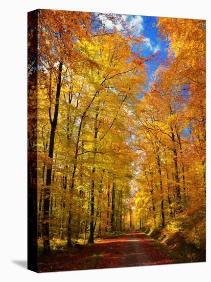 Way to Fall-Philippe Sainte-Laudy-Premier Image Canvas