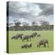 We Are Family 2-Ben Heine-Premier Image Canvas