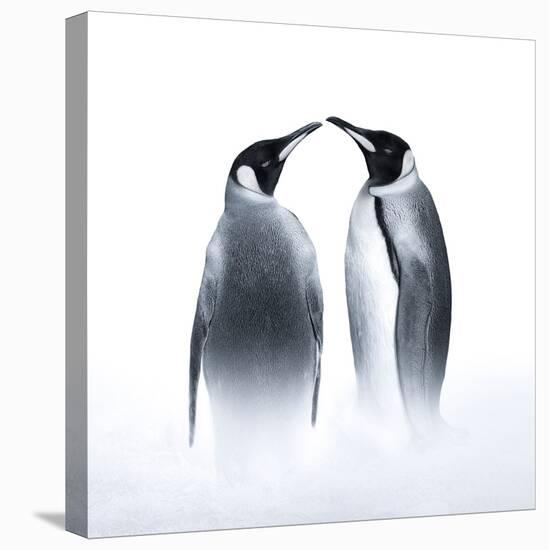 We are King Penguin-Judy Tseng-Premier Image Canvas