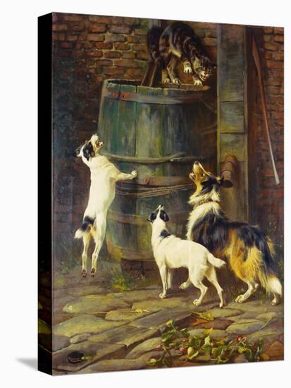 We Just Want to Play (Oil on Canvas)-Arthur Wardle-Premier Image Canvas