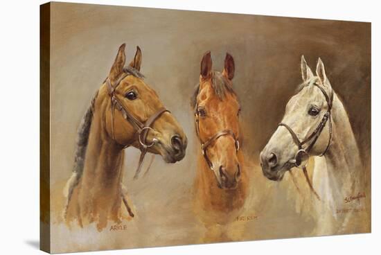 We Three Kings-Susan Crawford-Stretched Canvas