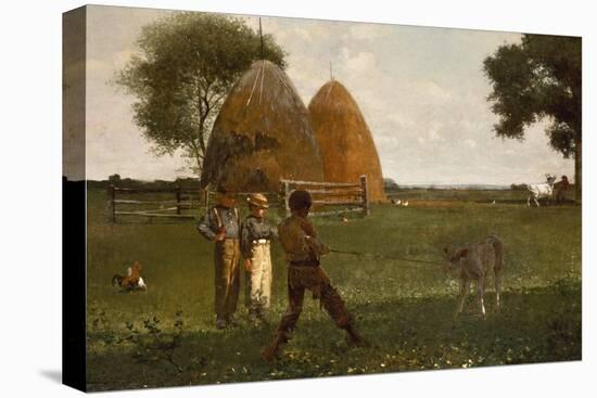 Weaning the Calf, 1875-Winslow Homer-Premier Image Canvas