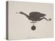 Weather Vane from St Mary-Le-Bow, London, C1850-JS Gardener-Premier Image Canvas