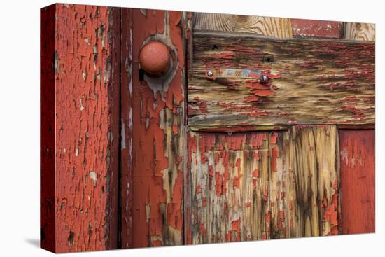 Weathered Door II-Kathy Mahan-Premier Image Canvas