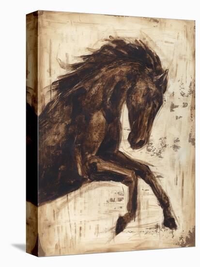 Weathered Equestrian II-Ethan Harper-Stretched Canvas