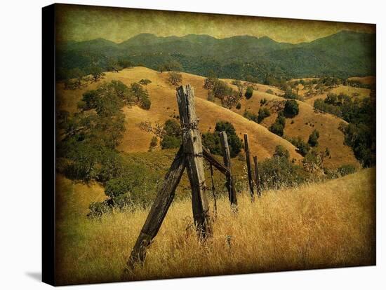 Weathered Ranch Fence-William Guion-Stretched Canvas