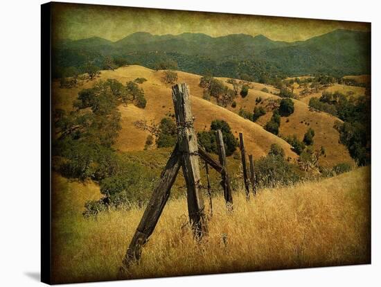 Weathered Ranch Fence-William Guion-Stretched Canvas