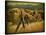 Weathered Ranch Fence-William Guion-Stretched Canvas