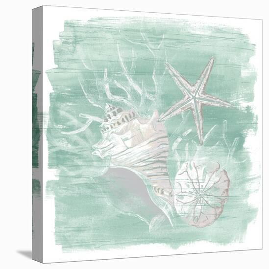 Weathered Shell Assortment I-June Vess-Stretched Canvas