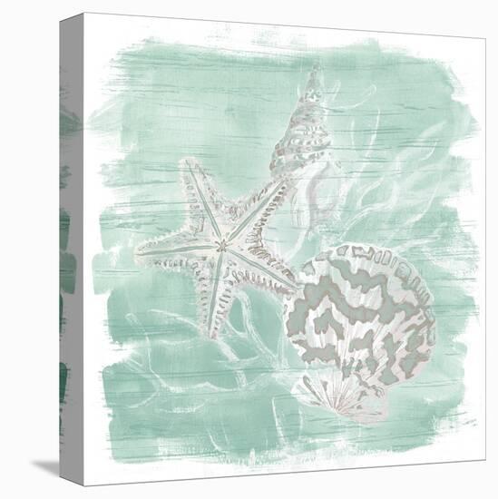 Weathered Shell Assortment II-June Vess-Stretched Canvas