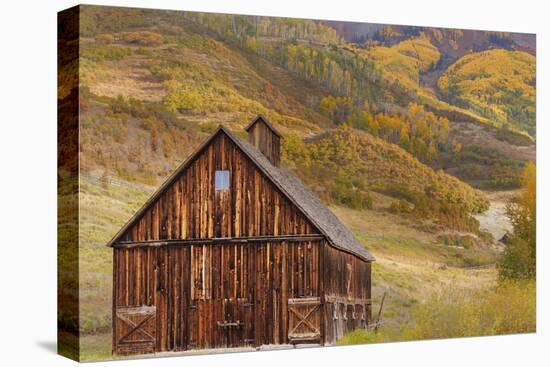 Weathered Wooden Barn Near Telluride in the Uncompahgre National Forest, Colorado, Usa-Chuck Haney-Premier Image Canvas