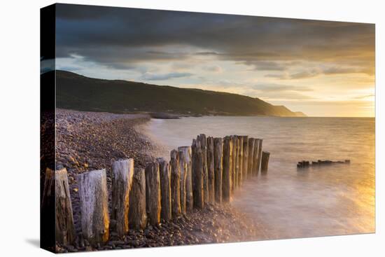 Weathered wooden posts on Bossington Beach, Exmoor National Park, Somerset, England. Summer (July) -Adam Burton-Premier Image Canvas