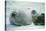 Weddell Seals-Doug Allan-Premier Image Canvas
