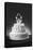 Wedding Cake-null-Premier Image Canvas