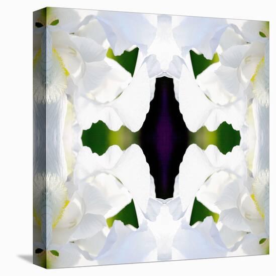 Wedding Iris-Rose Anne Colavito-Stretched Canvas