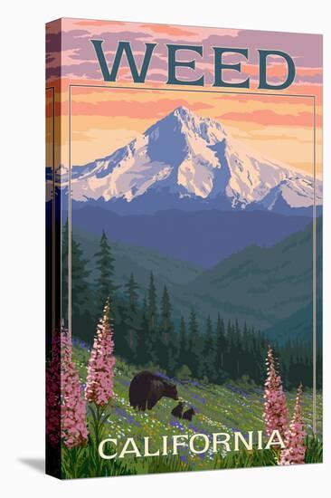 Weed, California - Bear and Spring Flowers-Lantern Press-Stretched Canvas