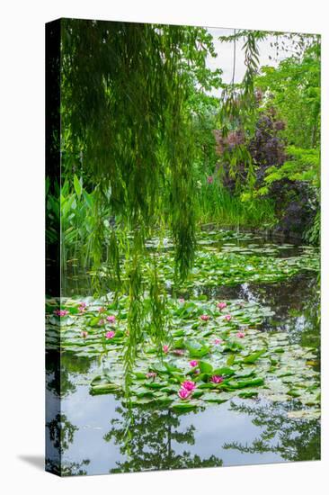 Weeping Willow and Waterlilies, Monet's Garden, Giverny, Normandy, France, Europe-James Strachan-Premier Image Canvas