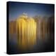 Weeping Willow-Philippe Sainte-Laudy-Premier Image Canvas