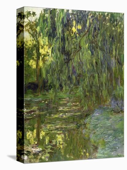 Weeping Willows, the Waterlily Pond at Giverny, C.1918-Claude Monet-Premier Image Canvas