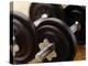 Weights-Chris Trotman-Premier Image Canvas