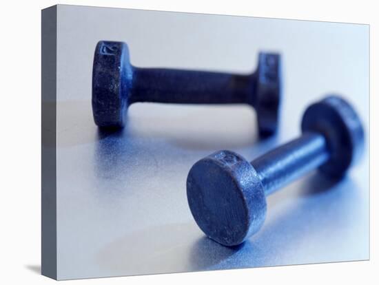 Weights-Chris Trotman-Premier Image Canvas