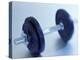 Weights-Chris Trotman-Premier Image Canvas