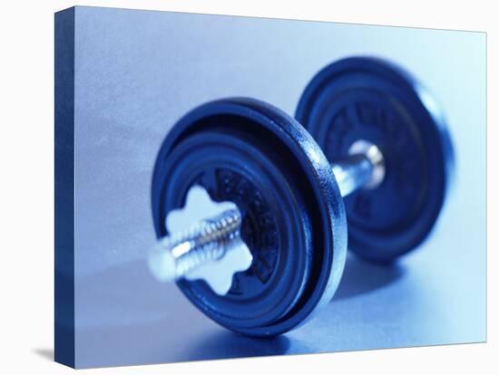 Weights-Chris Trotman-Premier Image Canvas