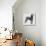 Weimaraner (Canis Lupus), Canidae, Drawing-null-Premier Image Canvas displayed on a wall