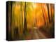 Welcome to My Fall-Philippe Sainte-Laudy-Premier Image Canvas