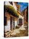 Welcome to My House-Gilles Archambault-Stretched Canvas