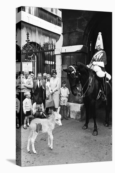 Wellington Barracks at Horse Guards, 1966-Alisdair Macdonald-Premier Image Canvas