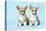 Welsh Corgi Dog (Pembroke) Puppies-null-Premier Image Canvas
