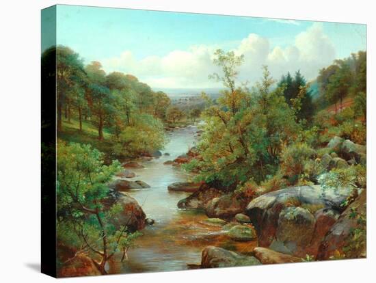 Welsh Landscape-Benjamin Williams Leader-Premier Image Canvas