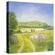 Wessex Sheep-Ditz-Premier Image Canvas