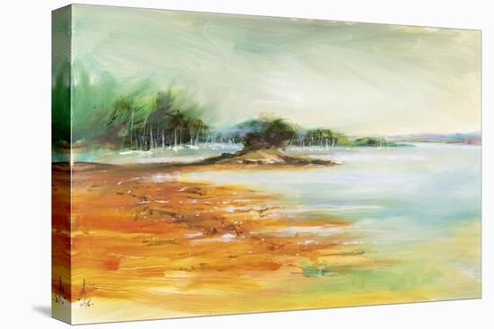 West Coast Inlet-Anne Farrall Doyle-Stretched Canvas