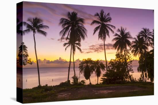 West Coast sunset, St. James, Barbados, West Indies, Caribbean, Central America-Frank Fell-Premier Image Canvas
