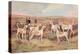 West Country Harriers-Thomas Ivester Llyod-Stretched Canvas