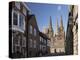 West Front, Lichfield Cathedral, Lichfield, Staffordshire, England, United Kingdom-Nick Servian-Premier Image Canvas