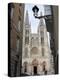 West Front of Burgos Cathedral, Seen from a Narrow Side Street, Burgos, Castilla Y Leon-Nick Servian-Premier Image Canvas